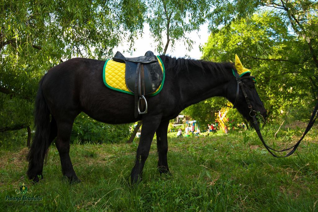 Poiana Bradului Villa Tohatin Bagian luar foto